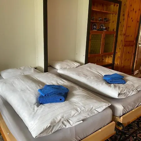 Alpine Cocoon Apartment